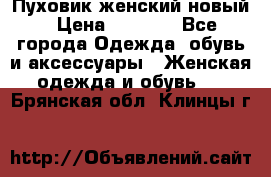 Пуховик женский новый › Цена ­ 2 600 - Все города Одежда, обувь и аксессуары » Женская одежда и обувь   . Брянская обл.,Клинцы г.